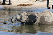 BOTSWANA Roberto e Lidia - 079